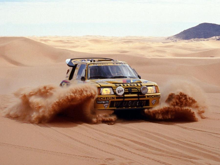  Peugeot 205 T16 Rally Car 1984 года  (фото 18 из 24)